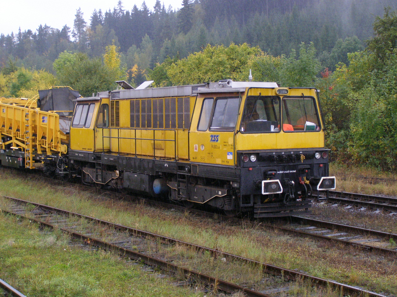 DELC
